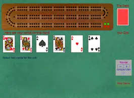 Game screenshot CribbagePlus mod apk