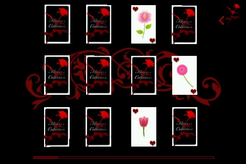 Flower's collection screenshot 2