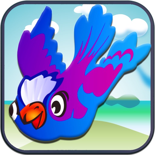 Mr. Bird's Dumb Puzzle Practice Test (Now Free!)