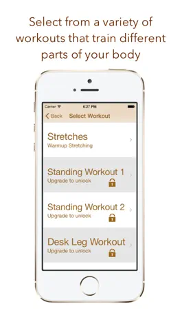 Game screenshot Desk Workout apk