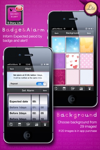 The Secret Diary Lite screenshot 3