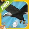 Crazy Birds Pro