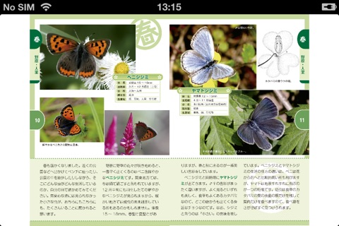 公園で探せる昆虫図鑑 screenshot 4