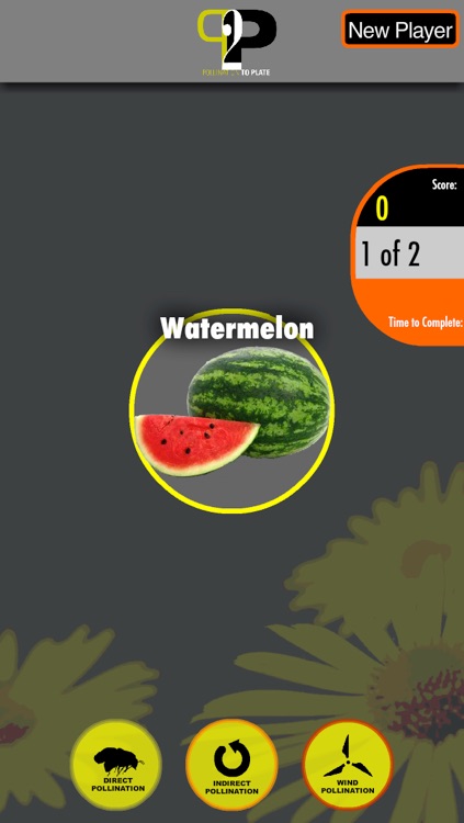 Pollination 2 Plate screenshot-3