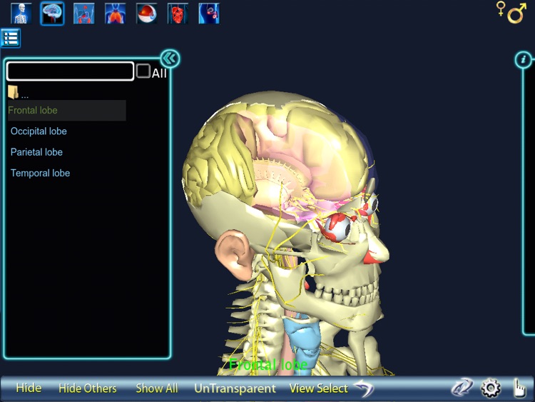 Human Body 3D for iPad screenshot-4
