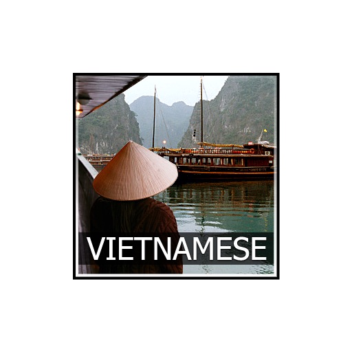 SurvivalPhrases - Vietnamese icon