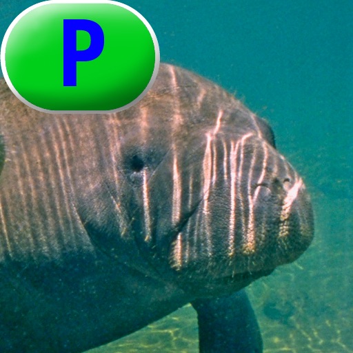 Manatees - LAZ Reader [Level P–second grade] icon