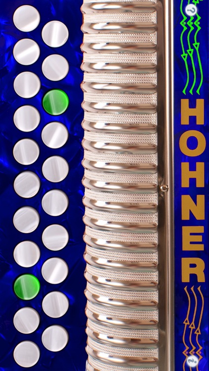Hohner-D/G Mini Button Accordion