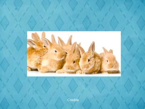 Fluffy Bunnies Jigsaw Puzzle HD screenshot 2