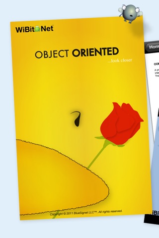 Object Oriented Programming screenshot 2