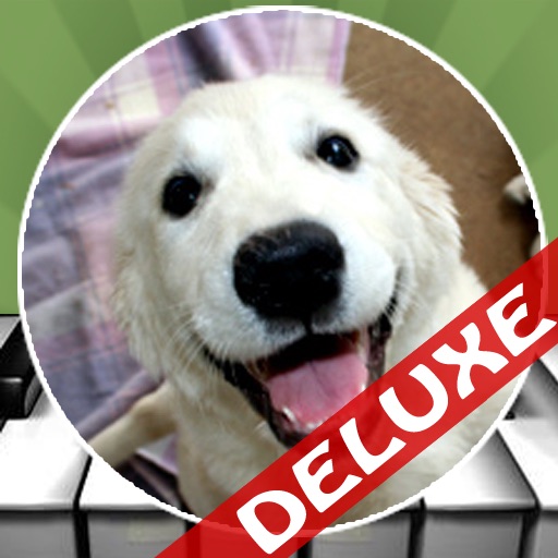 Dog Piano Deluxe icon