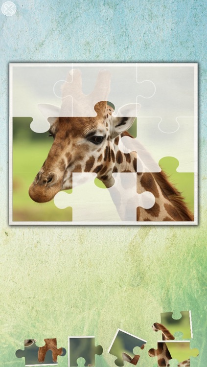 Jungle puzzle - jigsaw puzzle for kids screenshot-4