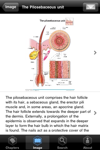 Miniatlas Anatomy