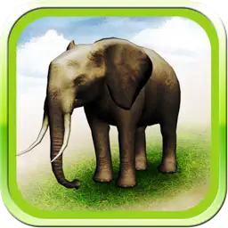REAL ANIMALS HD app icon