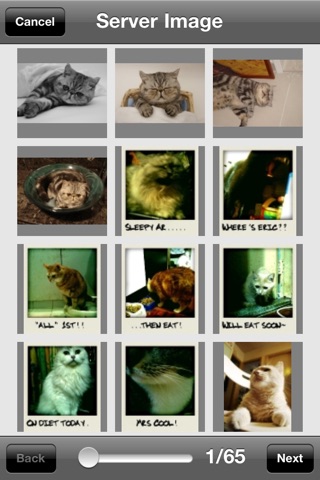 CATS 365 screenshot 3