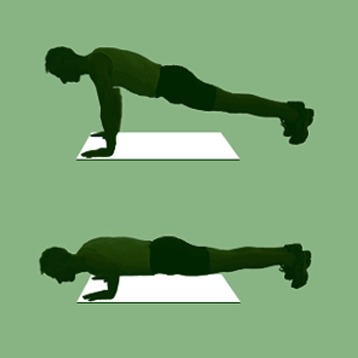 Press-up Counter lite icon