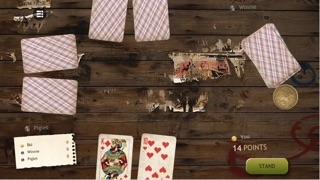 russian card games iphone screenshot 3