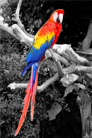 Clark color photo Clark color photo