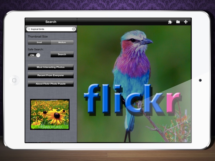 Flickr Photo Viewer And Puzzle Maker