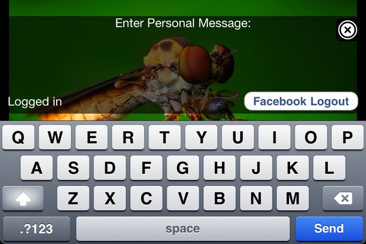 Bugs! - Incredible Macro Photography by Thomas Shahan screenshot-3