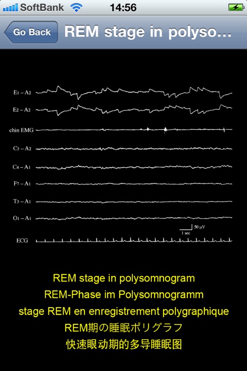electroencephalography multilingual screenshot-4