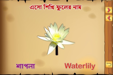Bengali Flowers screenshot 3