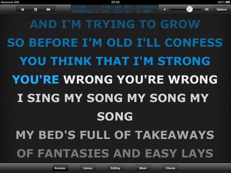 Grinta Karaoke PRO
