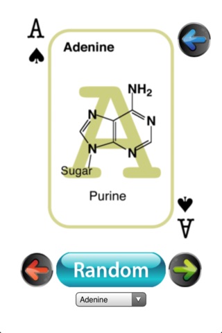 BioChem Euchre Deck screenshot 2