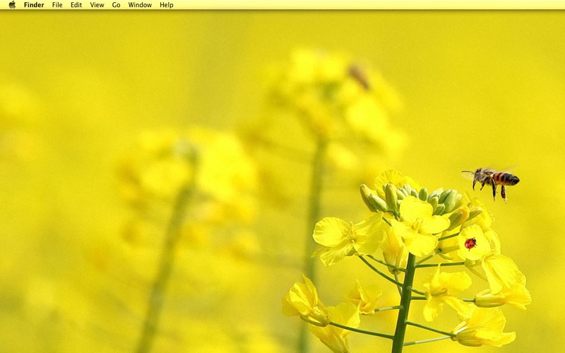 Screenshot #2 pour iBug - Live wallpaper