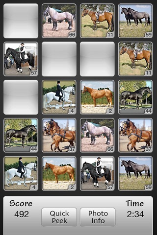 Horses Match Memory Game: Pair Up Horse Photos screenshot 3
