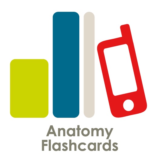 Anatomy Flashcards for iPad iOS App