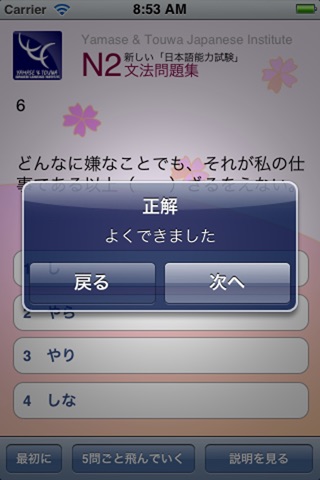 JLPT N2 文法練習 screenshot 3