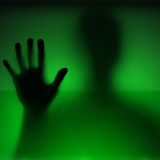 Ghost Hunter EMF icon