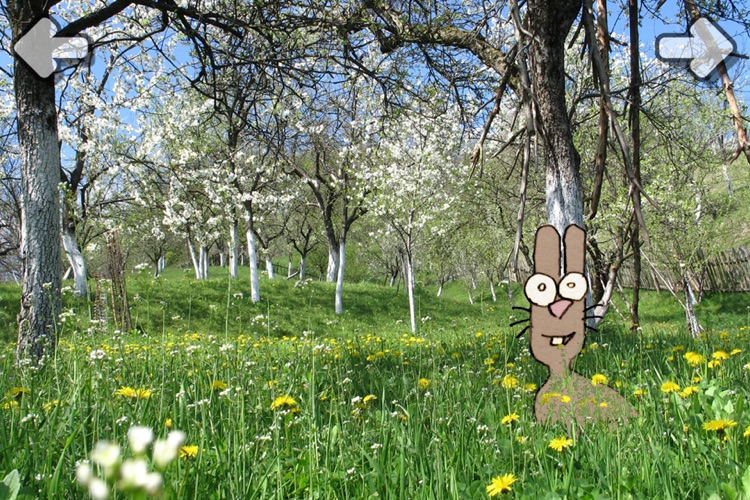 Find the Rabbit by owi mahn