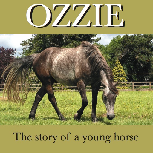 Ozzie - The story of a young horse