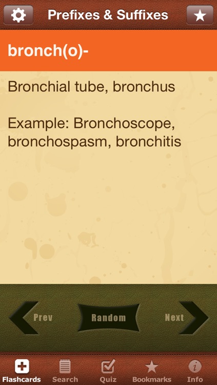 Medical Prefixes & Suffixes