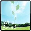 Wind Sound