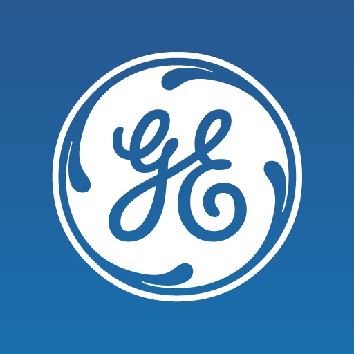 GE Annual Report 2010