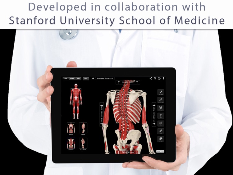 Muscle System Pro III