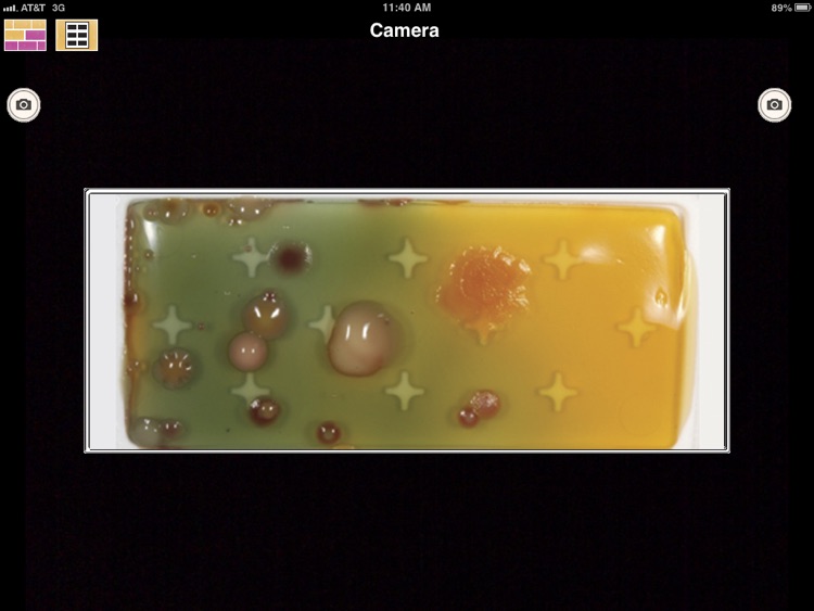 BioPaddles screenshot-3