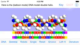 Game screenshot OnScreen DNA Model for iPhone mod apk