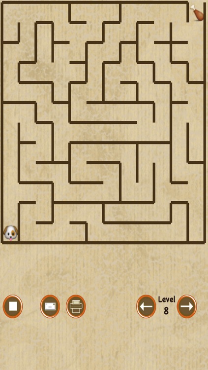 Dog Maze Race
