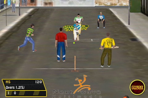 Street Cricket Pro screenshot 3