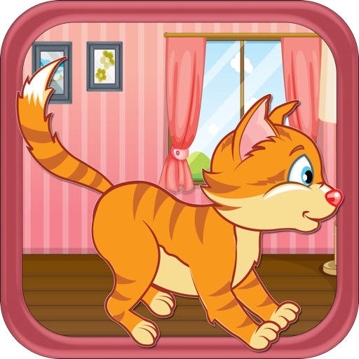 Playful Kitty Cat Antique Desk Escape Route Dash PRO iOS App