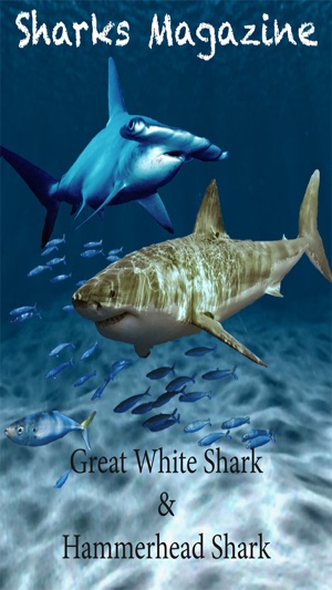 Sharks Magazine
