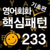 영어회화 핵심패턴 233 기초편