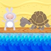 Turtle and Rabbits Game