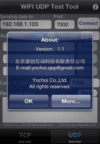 TCP/UDP 测试工具 screenshot 3