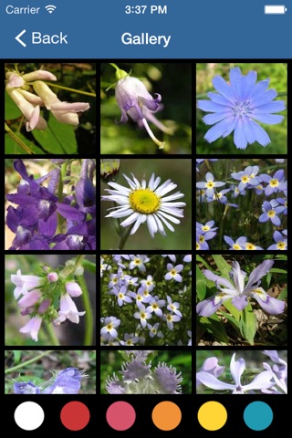 GSM Wildflowers screenshot 3