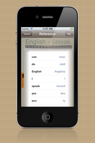 Vocabulary Trainer: English - Slovak screenshot 4